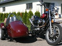 IMG 4987